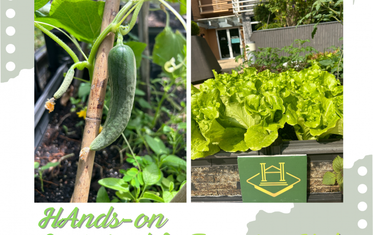 Cultivating Leadership through Green Practices